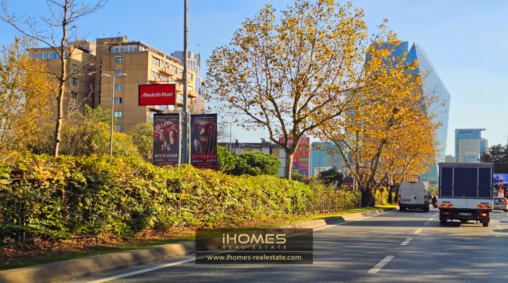 بشیکتاش در پاییز - خیابان بویوک دره